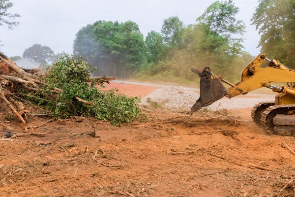 Ground Clearing in Sequim