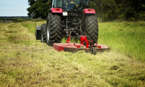 Brush Clearing Service in Sequim