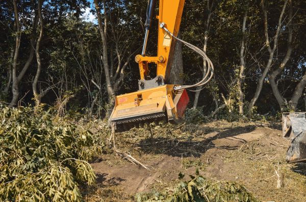Brush Removal Service in Sequim