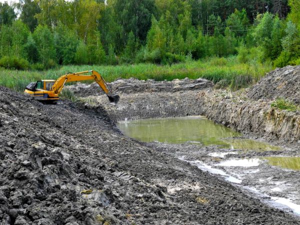 Cost of Lake Lot Clearing in Sequim
