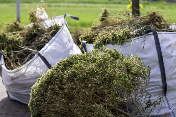 Bushes Clearing in Sequim