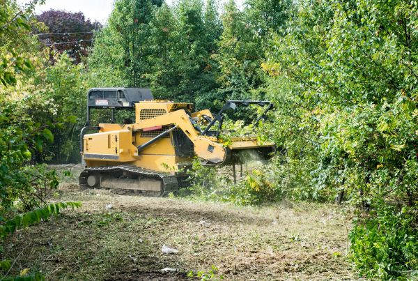 Cost of Pathway Clearing in Sequim