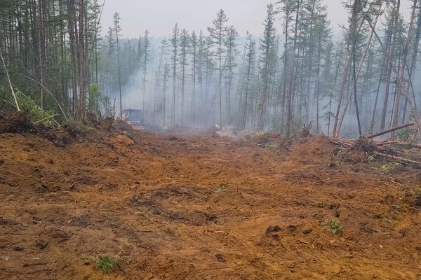 Cost of Hill Clearing in Sequim