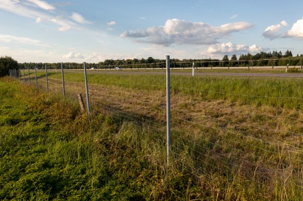 Cost of Property Line Clearing in Sequim