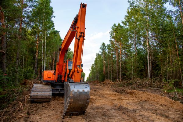 Cost of Backhoe Land Clearing in Sequim
