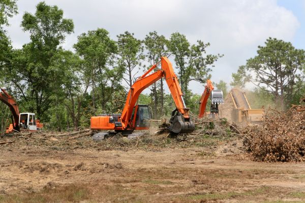 Cost of Commercial Lot Clearing in Sequim